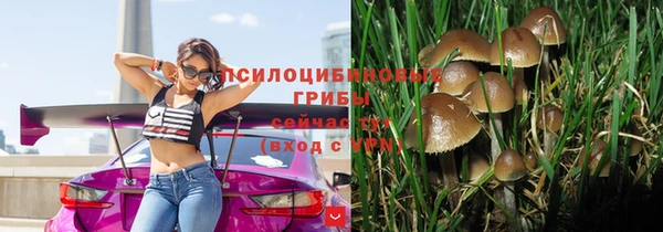 соль курить ск Надым