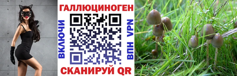 Псилоцибиновые грибы Cubensis  Алупка 